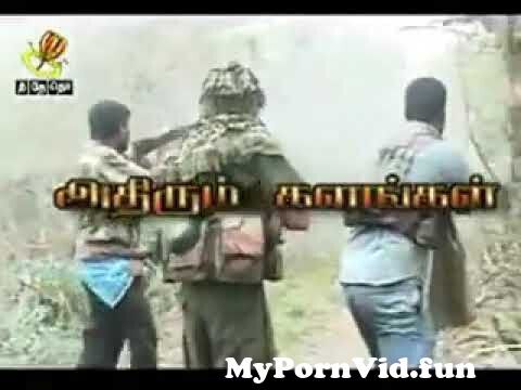 View Full Screen: tamil commandos attack in mannar 124 sri lanka army 124 war.jpg