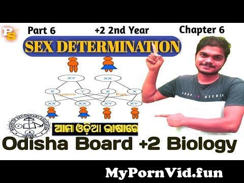 View Full Screen: sex determination in odia part 6 124 heamophilia 124 2 2nd year 124 chse board 124 by pradeep sir.jpg