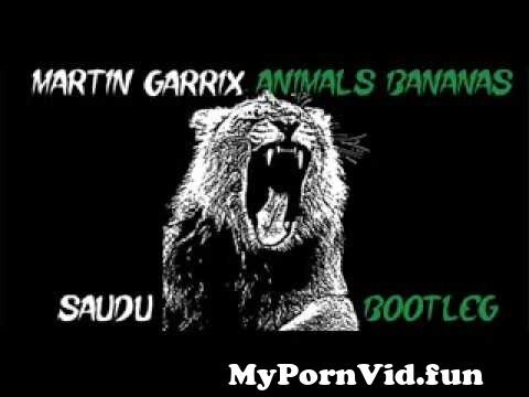 Porn and animal in Saidu