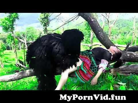 Animal from porn in Hong Kong