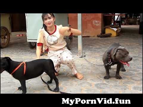 In Jakarta sex dogs a girl Girls Have
