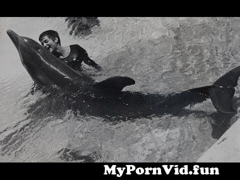 dolphin 8 interracial cuckold captions