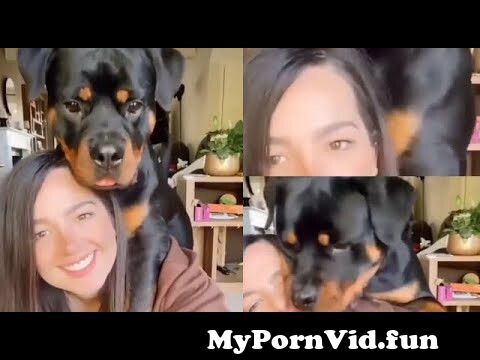 Lady and Dog | See what a Lady is doing with a Dog for Money | #LadyAndDog | #LekkiGirlAndDog from desi nude badi gand doggy styleko 3lilaWatch Video - MyPornVid.fun