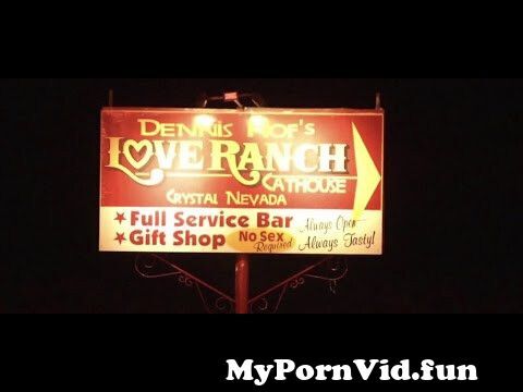 Brothels near Las Vegas, legal sex workers prepare for reopening amid  loosening restrictions from las sex Watch Video - MyPornVid.fun