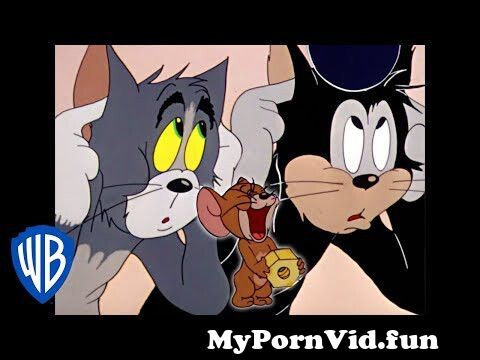 Jerry porno und tom Parody: Tom