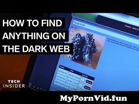 How To Find Anything On The Dark Web from darknet girl Watch Video - MyPornVid.fun
