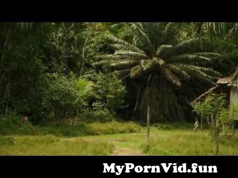 Fuck for forest videos