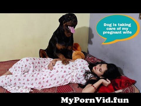 Dogs sex videos in Cali