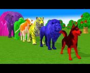 Animals Home Animation