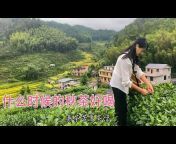 Tea Farmer Xiao Shu