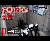 CCTV社会与法