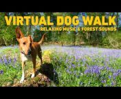 Harmony Hounds - Relaxing Music for Dogs