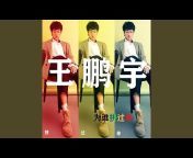 王鹏宇 - Topic