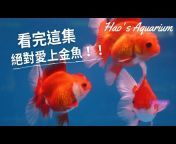 Hao’s Aquarium