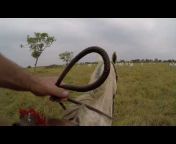 ENTRE OREJAS - Horse Riding Adventures