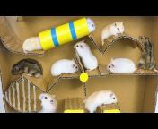 Love Hamster - Other Pets