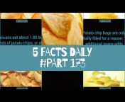5 Facts Daily❗
