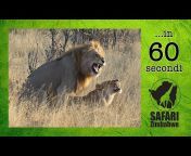 Safarizimbabwe