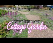 Suzy Dingle&#39;s Garden