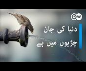 DW Urdu اردو