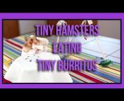 TinyHamsterOfficial