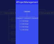 IT Project Managers