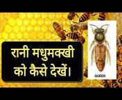 Bee Keeping India