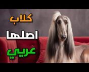 تدريب كلاب C.Mohamed Abdulhady
