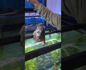 Clear Water Aquarium