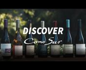 Cono Sur Vineyards u0026 Winery