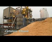 Hardwood Biofuels