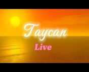 Taycan Voyance