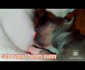 176px x 144px - woman breastfeeding puppy petsex com siterip Videos - MyPornVid.fun