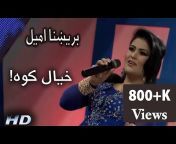 Gharghasht TV