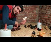 Poultry Guruji