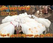 waqas goat farm