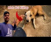 Punjabi Shok Vlogs