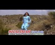 Shalimar Cassette u0026 CDs