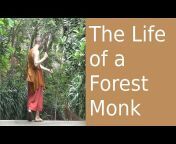 Forest Dhamma Talks