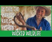 Wicked Wildlife