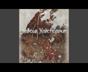 Malleus Maleficaum - Topic