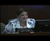 OAS OEA Videos