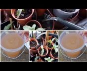 N gardening and cooking vlogs uk