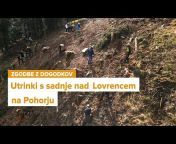 SiDG - Slovenski državni gozdovi