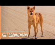 Free High-Quality Documentaries