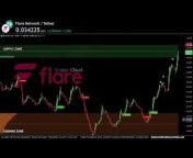 Forex Education Live