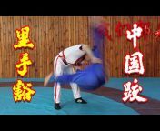 精武讲堂Chinese martial arts