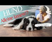 Deine Online-Hundeschule I André Henkelmann
