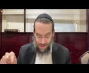Daily Gemara Rabbi Oster