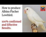 LEARN BIRD GENETICS 🧬